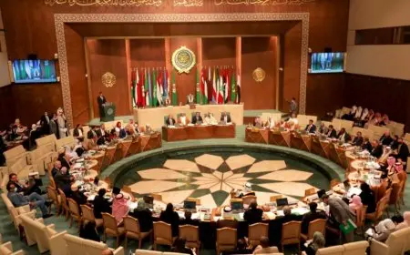 عبد المنعم سعيد يطالب بتوحيد الجهود العربية لمواجهة الانتهاكات الإسرائيلية الجسيمة