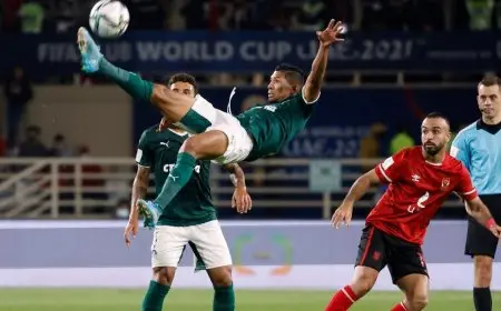 “اكتشف حقائق وأرقام مثيرة قبل مواجهة الأهلي وبالميراس في كأس العالم للأندية!”