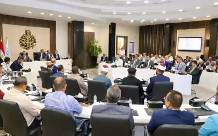 محافظ أسوان يلتقي مدير صندوق مكافحة الإدمان لتعزيز الوعي بمخاطر التعاطي وزيادة الجهود المشتركة