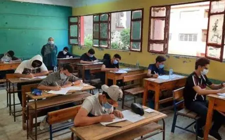 محافظة الدقهلية تُعلن قريبًا عن رفع نتيجة الشهادة الإعدادية – انتظروا التفاصيل!