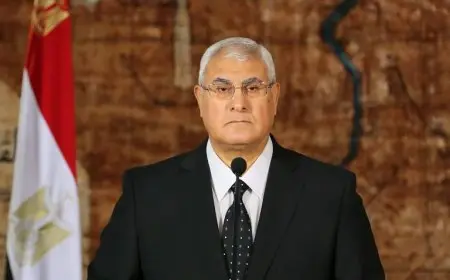 “توضيح هام من الوطنية للإعلام: تصريحات عدلي منصور السابقة غير صحيحة”