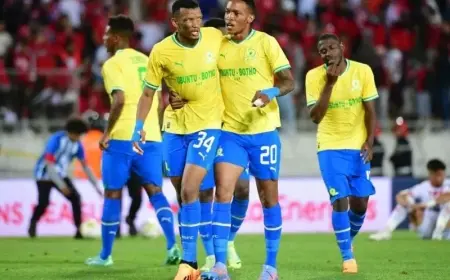 أولسان يواجه صن داونز اليوم في كأس العالم للأندية 2025 والقنوات الناقلة