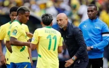 أولسان يواجه صن داونز في مباراة مثيرة ضمن كأس العالم للأندية 2025.. القنوات الناقلة للمباراة