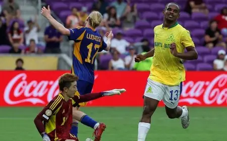 صنداونز يتألق ويتصدر المجموعة بعد فوز مثير.. وتطبيق قانون جديد يحدث المفاجآت!