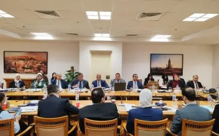 اجتماع اللجنة الدائمة لمتابعة العلاقات المصرية الإفريقية: تعزيز الروابط والتعاون المستدام