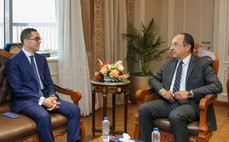 “وزير قطاع الأعمال والاستثمار يستعرضان استراتيجيات جديدة لتعزيز الفرص الاستثمارية في صناعة الغزل والنسيج”