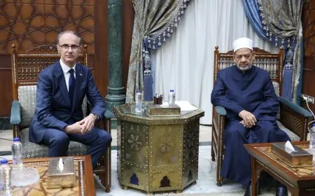 شيخ الأزهر يلتقي رئيس وزراء صربيا لتعزيز التعاون العلمي والدعوي لدعم مسلمي صربيا
