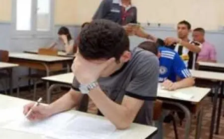 السؤال الذي أزعج الطلاب جميعًا.. اكتشف الجمع الصحيح لكلمة “بؤبؤ” الذي حير أساتذة الجامعات أيضًا