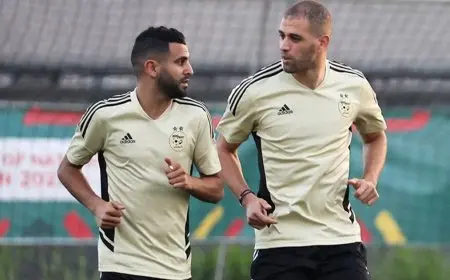 سليماني يطالب بقانون صارم للحد من تردد الممثلين عن الجزائر: من يملك الحق في الاختيار؟