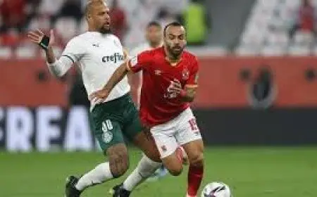 ميعاد مباراة الأهلي وبالميراس اليوم في كأس العالم للأندية وأهم القنوات المجانية لنقل الحدث!