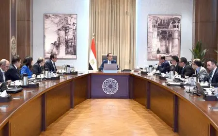 مدبولي يسعى لضمان توافر الأدوية والمستلزمات الطبية في البلاد