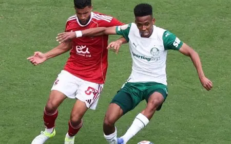 إستيفاو يبرز استعداده لتشيلسي بعد فوزه بجائزة جديدة في مونديال الأندية