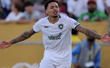 بوتافوغو يحقق مفاجأة مذهلة بإسقاط باريس سان جيرمان في مونديال الأندية