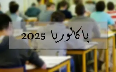 نتائج البكالوريا 2025 في الجزائر بسهولة باستخدام رقم التسجيل عبر الموقع الرسمي للديوان الوطني bac.onec.dz