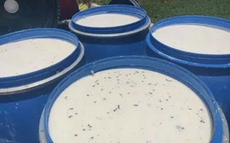 ضبط 2050 لتر من الألبان الملوّثة وغير الصالحة للاستهلاك الآدمي في بني سويف!