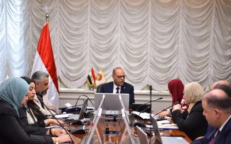 وزير العمل يتفقد اجتماع اللجنة المصرية الأردنية لبحث تعزيز تنقل العمالة بين مصر والأردن