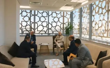 وزيرة البيئة تستقبل محافظ الوادي الجديد لمناقشة فرص استثمار جديدة في تدوير المخلفات الزراعية العملات الخضراء