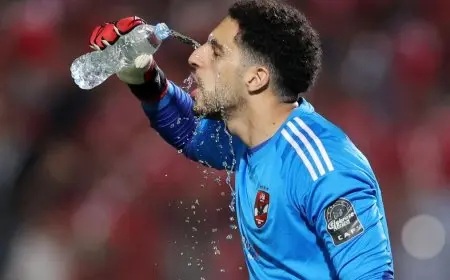 شوبير يوجه نداءً حماسياً لجماهير الأهلي قبل المواجهة الحاسمة ضد بورتو