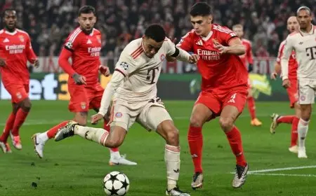 تعرّف على تشكيلة بايرن ميونيخ وبنفيكا في كأس العالم للأندية 2023!