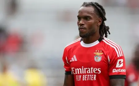 “أسمنت العضلات: كيف يمكن أن يغير مسيرة ريناتو سانشيز الزجاجي؟”