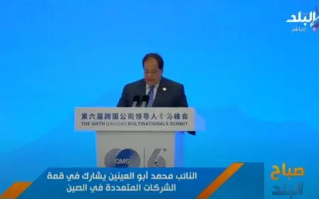 أبو العينين: الصين تستثمر حوالي 8 مليارات دولار في مصر لتعزيز التعاون الاقتصادي