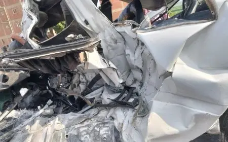 وزيرة التضامن الاجتماعي تتابع تداعيات حادث الطريق الإقليمي بالمنوفية وتوجه بتقديم الدعم الفوري لأسر الضحايا