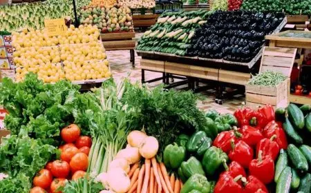 تحديث أسعار الخضروات والفاكهة في سوق العبور اليوم الجمعة 27 يونيو 2025: تعرف على أبرز الأسعار والعروض!