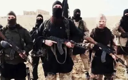 حسام الغمري يكشف: أوامر مباشرة من جماعة الإخوان لعناصرها للإنضمام إلى تنظيم داعش