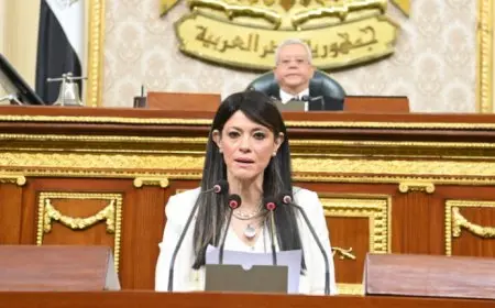 المشاط: تقرير OECD يكشف توصيات عملية لتعزيز الابتكار والشمولية في الاقتصاد العربي