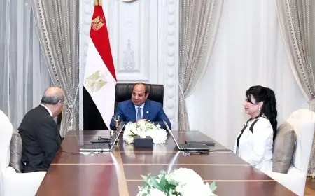 الرئيس السيسي يؤكد على أهمية تطوير المطارات المصرية من خلال تعزيز الشراكات الدولية