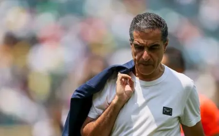 مدرب بوتافوغو: إهدار الفرص أمام بالميراس كلفنا الخروج من مونديال الأندية