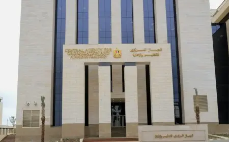 “اكتشف مستواك المهني! التنظيم والإدارة يعلن عن ترقية الموظفين وبدء التطبيق في يوليو 2025”