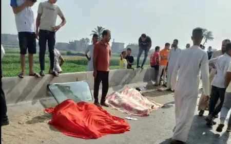 مدبولي يأمر بإجراء كشف مفاجئ عن المخدرات لسائقي النقل بعد الحادث الإقليمي المؤسف