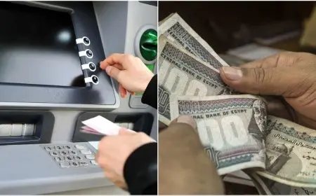 رئيس هيئة التأمين يعلن: زيادة المعاشات تصل إلى 2175 جنيها كحد أقصى!