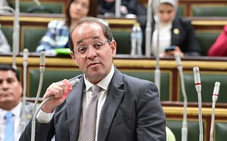 وزير المالية يكشف: صرف مستحقات 2400 شركة مصدرة بقيمة تفوق 25 مليار جنيه حتى الآن!