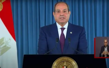 الرئيس السيسي يتحدث في ذكرى ثورة 30 يونيو: الكلمات التي يجب أن تعرفها!