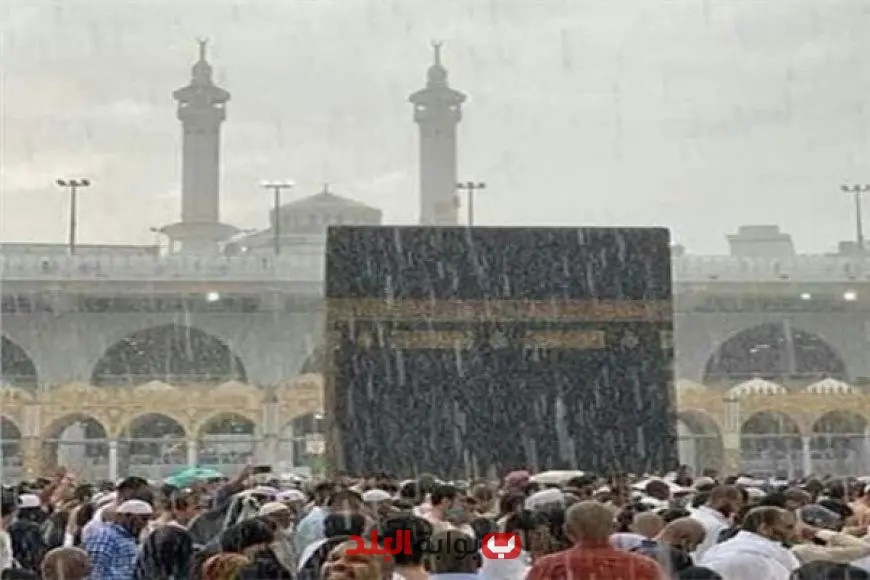 “رئيس بعثة القرعة يعلن: نجاح تفويج الحجاج من المدينة المنورة إلى مكة المكرمة”