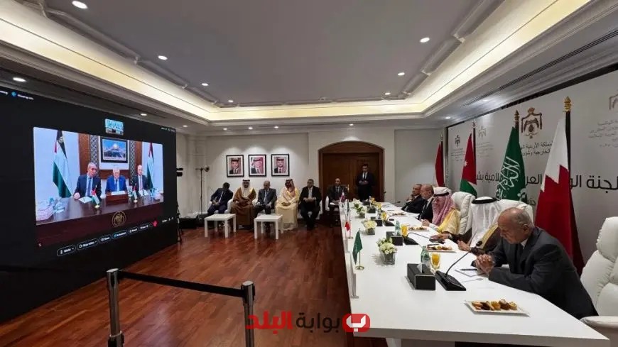 وزير الخارجية المصري يبرز جهود مصر الحثيثة لتحقيق حل شامل للأزمة الفلسطينية