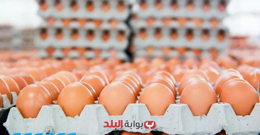 سعر كرتونة البيض اليوم الأحد 1 يونيو 2025: تعرف على أحدث الأسعار والمستجدات!