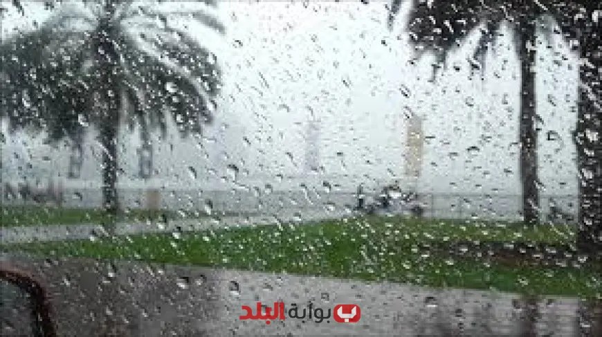 الأرصاد الجوية تتوقع هطول أمطار غزيرة على السواحل الشمالية هذا الأسبوع!