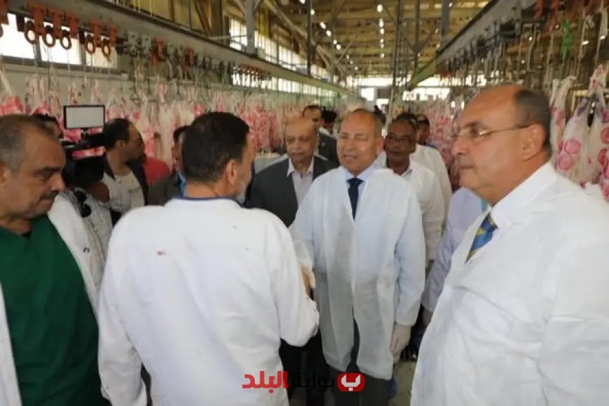 محافظ القاهرة يؤكد انطلاق الإجراءات الصحية لضمان سلامة الذبائح في مجزر 15 مايو