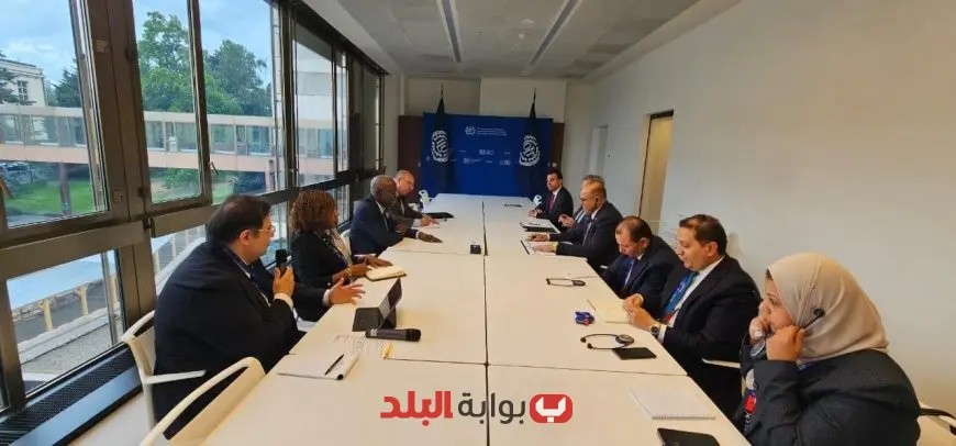 منظمة العمل الدولية تُثني على إنجازات مصر في تعزيز ثقافة السلامة والصحة المهنية