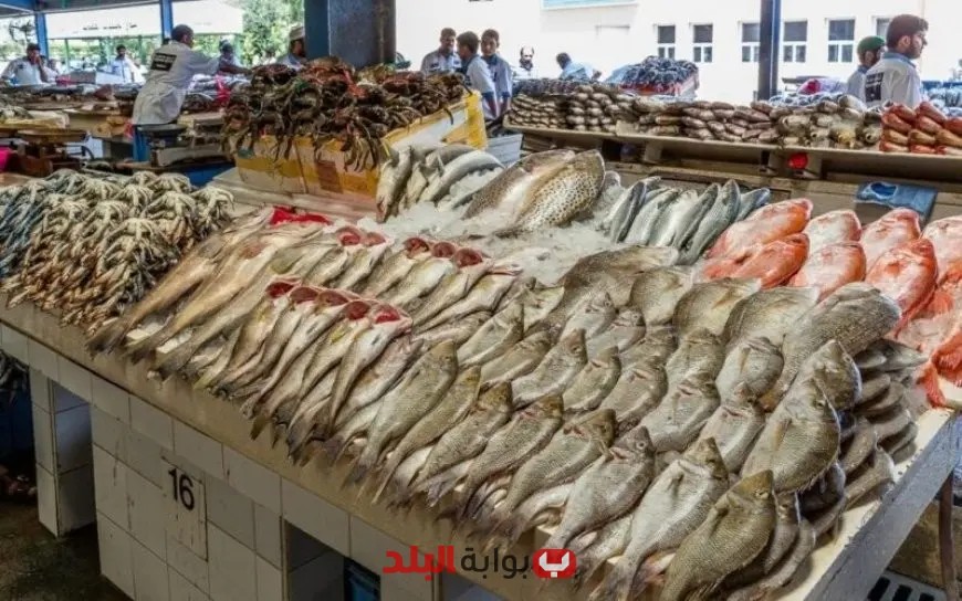 أسعار المأكولات البحرية تشتعل قبل عيد الأضحى: الجمبري الجامبو يتجاوز 2000 جنيه!