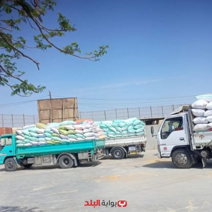 شون وصوامع الشرقية تُنجز توريد ١٠٢٪ من المستهدف: ٥٩١٥١٩ طن قمح محلي تصل الأسواق!