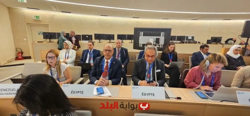 بمساندة مصرية قوية.. فلسطين تصبح عضوًا مراقبًا في منظمة العمل الدولية