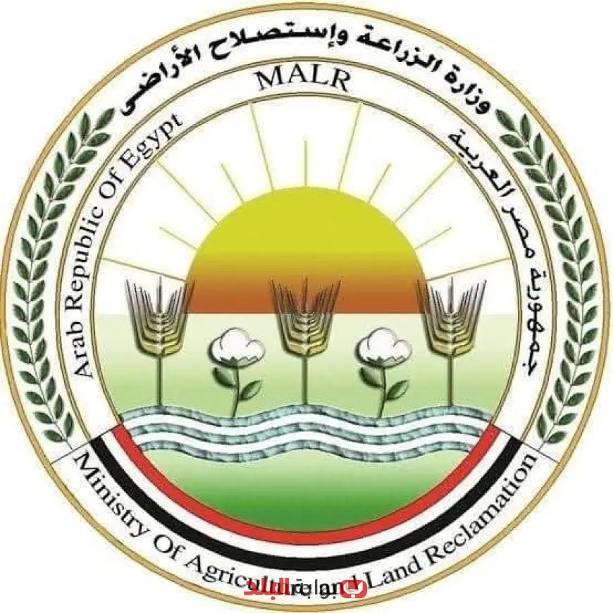 الزراعة تعلن عن استقبال أكثر من 9800 أضحية في المجازر الحكومية خلال أول أيام عيد الأضحى 2023