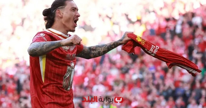نونيز يُعوض أوسيمين في الهلال: هل ستكون الصفقة بمثابة النقطة التحوّلية؟