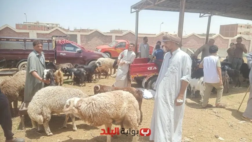 “وزير الزراعة يراقب لجان المرور على شوادر وأماكن بيع الأضاحي ويعزز جهود التوعية للمواطنين”