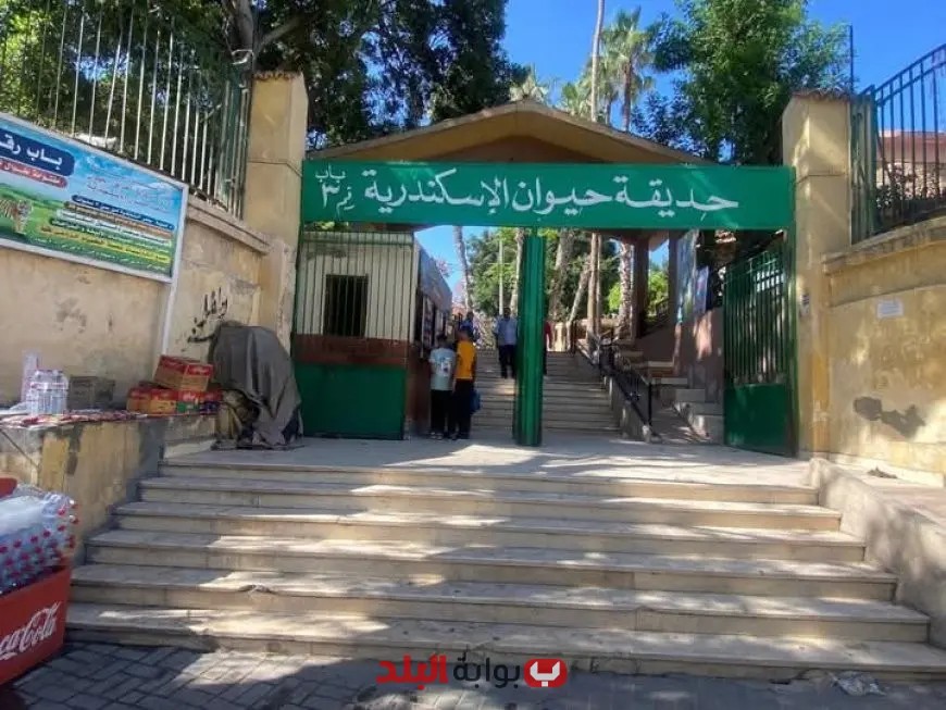 “حدائق الحيوان والإسماك بالزمالك: جذب أكثر من 38 ألف زائر خلال أول يومين من العيد وفقاً لوزارة الزراعة”