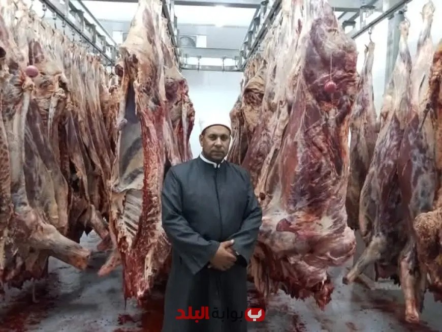 وزارة الأوقاف تستمر في ذبح صكوك الأضاحي لليوم الثالث على التوالي وفاءً لحق المضحين